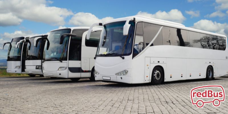 redbus coupon today